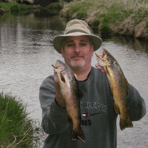 Meet your Posher, David